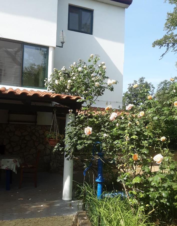 Apartments Nena 3* Ližnjan Exterior foto